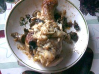 �������� �����������