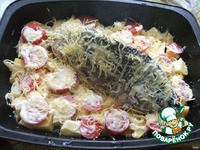 ���� "�����������" �����������