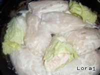 �������� � �e����, ���������� � ��������� ������� �����������