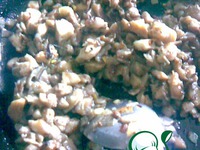 ������� � ������� �����������