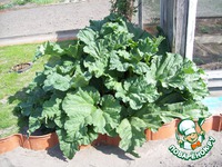 ����� � ������� � ������� �����������