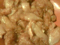 ������� ���� � ������� �����������