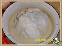 ����� ������� �����������