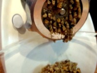 ������� ���� �����������