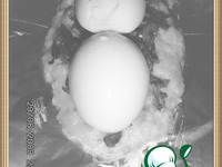 ������������ ����-����� �����������