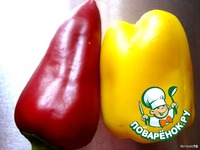 ������� ����� �����������