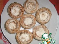 ������� ������� ������� �����������