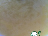 �������� ���������� � ������� �����������