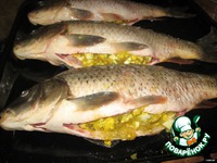 ���� ���������� �����������