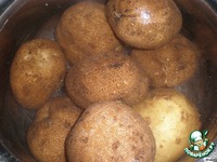 ������������ "�����" �����������