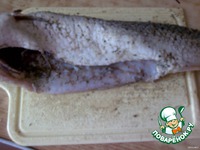 ������, ��������� � ������� � ��������� �����������