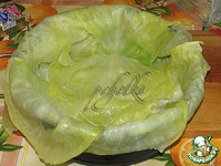 ��������-�������� "�����" � ����� �����������