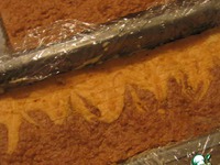 ������ "�������� ���������" �����������