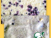 ��������� "����� �������" �����������