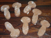 ���� "����� ����" �����������