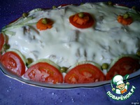 ������ � �������� �����������