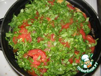 ���� �����������