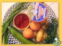 ����� "�������� ����" �����������