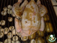 ������ �����+������ �����������