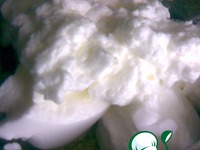 ������ ������ ������� �����������