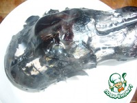 ������� "������������ ����" �����������