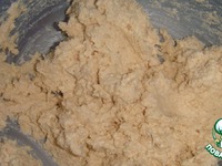 ���������� "����" �� ����� �����������