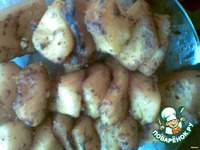 ����� �� ������� �����������