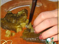 ������� ������ �����������