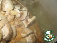 ������ ��� "�������" �����������