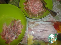 ������������� �������� �����������