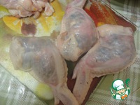 ������������� �������� �����������