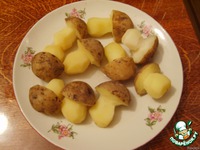 ������� ������ �������� � ������������� ������� �����������