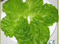 �����-�������� ������ �����������