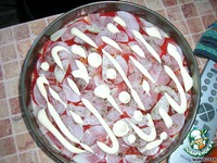 ���������-������ ��������� �����������