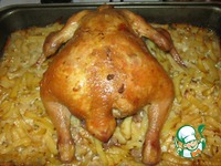 ������� ������ �����������