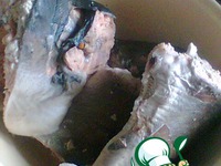 �������� �� ���� ���-������� �����������