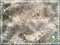 ������� "��������" �����������