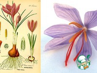 ������� ���� � ��������-���������� ����� �����������