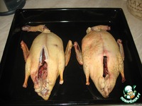 ����� ����, ������������� �������� �����������