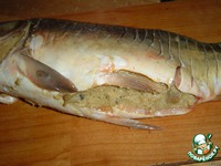 ������������� ���� � ��������� �����������