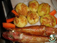 �������� �� ������ �����������