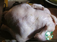 ������� ������ �����������