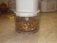 ���� "�����" � ��������� �����������