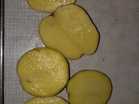 ������ �����+������ �����������