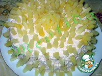 ���� "����������" �����������