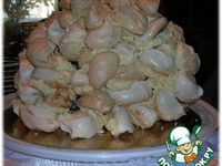 ���� "�������" �����������