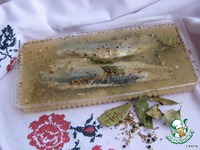 ���������� ��������� �����������