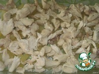 ������ � ����������  "�����������" �����������