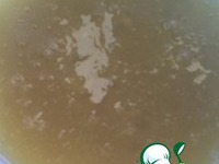 �������� �����������