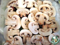 ������������ ������� � ������� � ������������ �����������